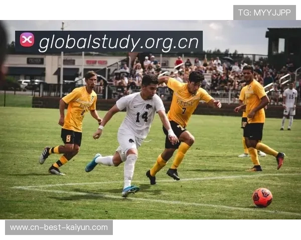✅体育直播🏆世界杯直播🏀NBA直播⚽- 永续发展国际研讨会共议全球可持续发展- sports